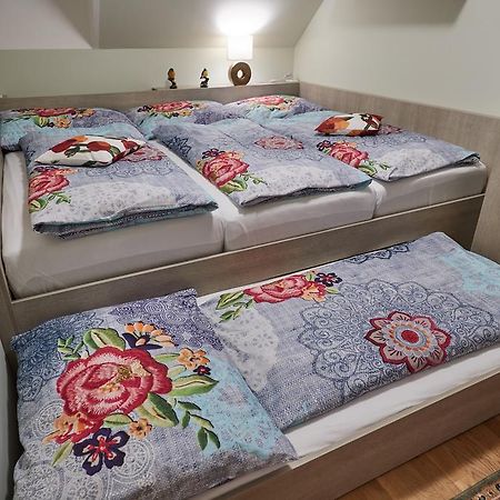 Apartman U Vleku Javor Pec pod Snezkou Exterior foto